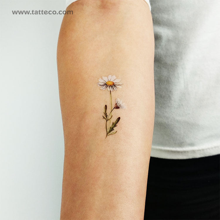 Watercolor Daisy Temporary - Set of 3 – Tatteco