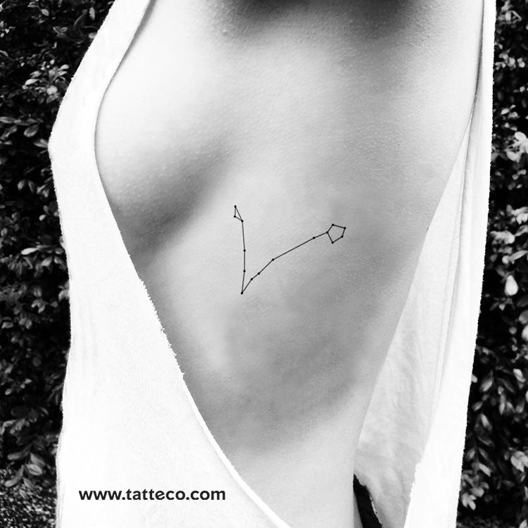 Pisces Constellation Temporary Tattoo - Set Of 3 – Tatteco