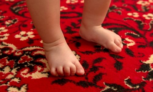 Area Rug Cleaning Near Me -Area Rug Cleaning Brantford