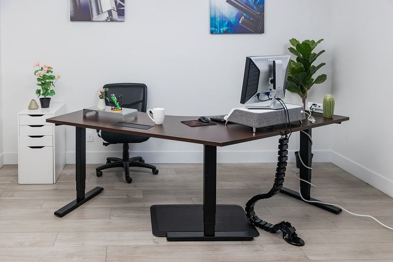 V Ryzer standing desk