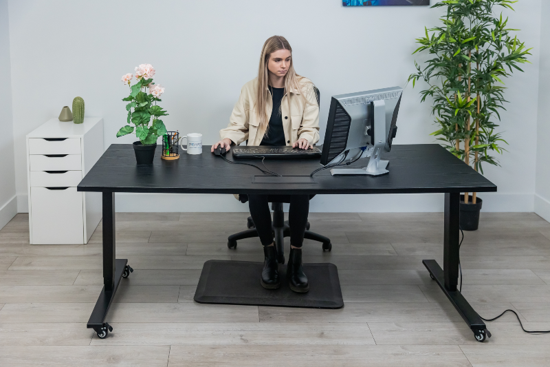 Solo ryzer standing desk 