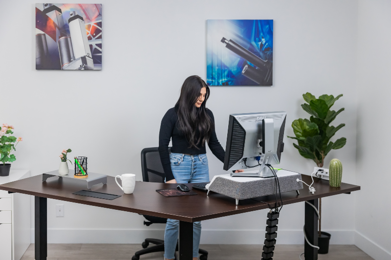 V ryzer standing desk