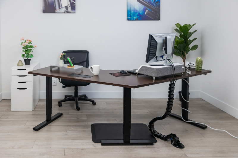 V- Ryzer standing desk