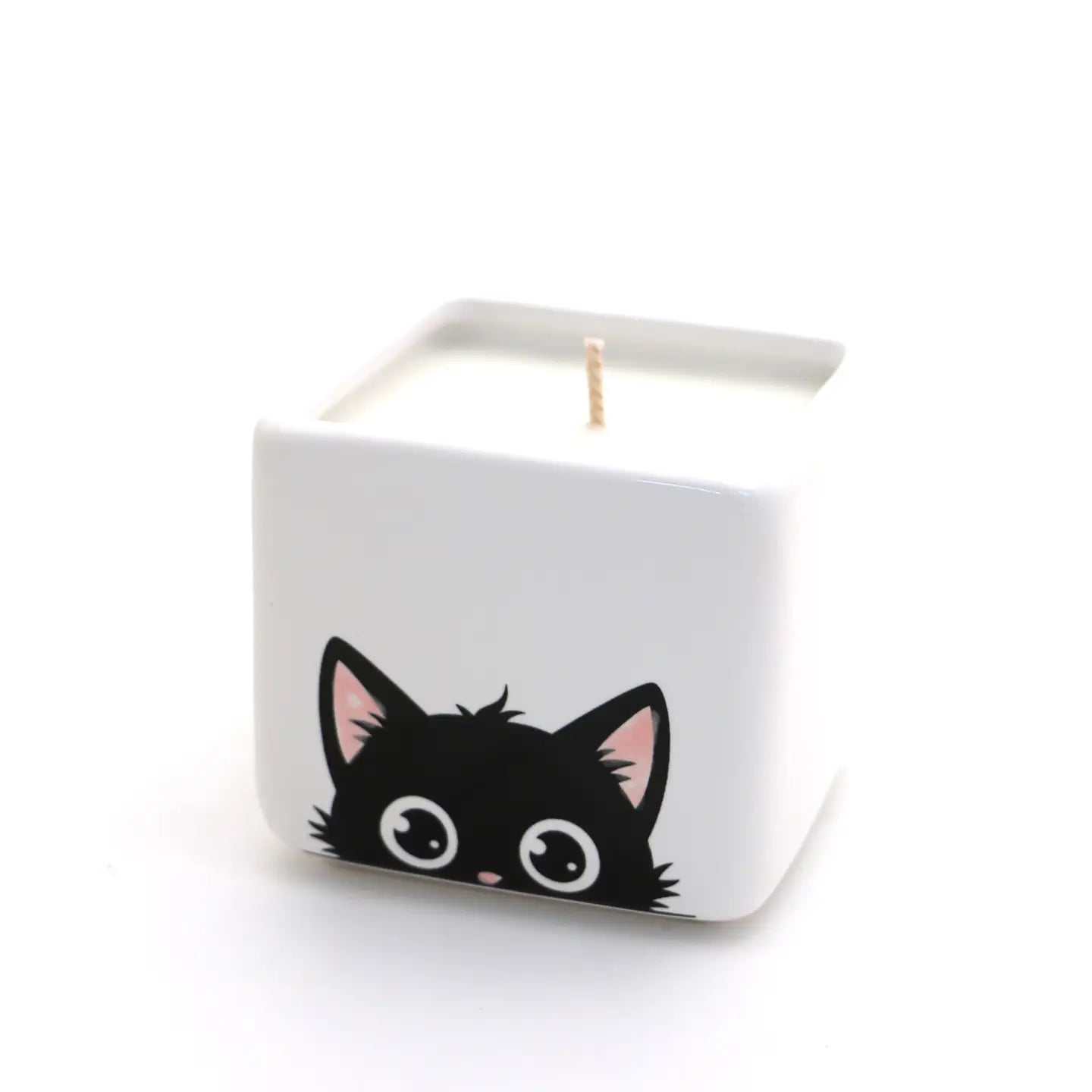 Hand Poured Unscented Black Cat Soy Candle