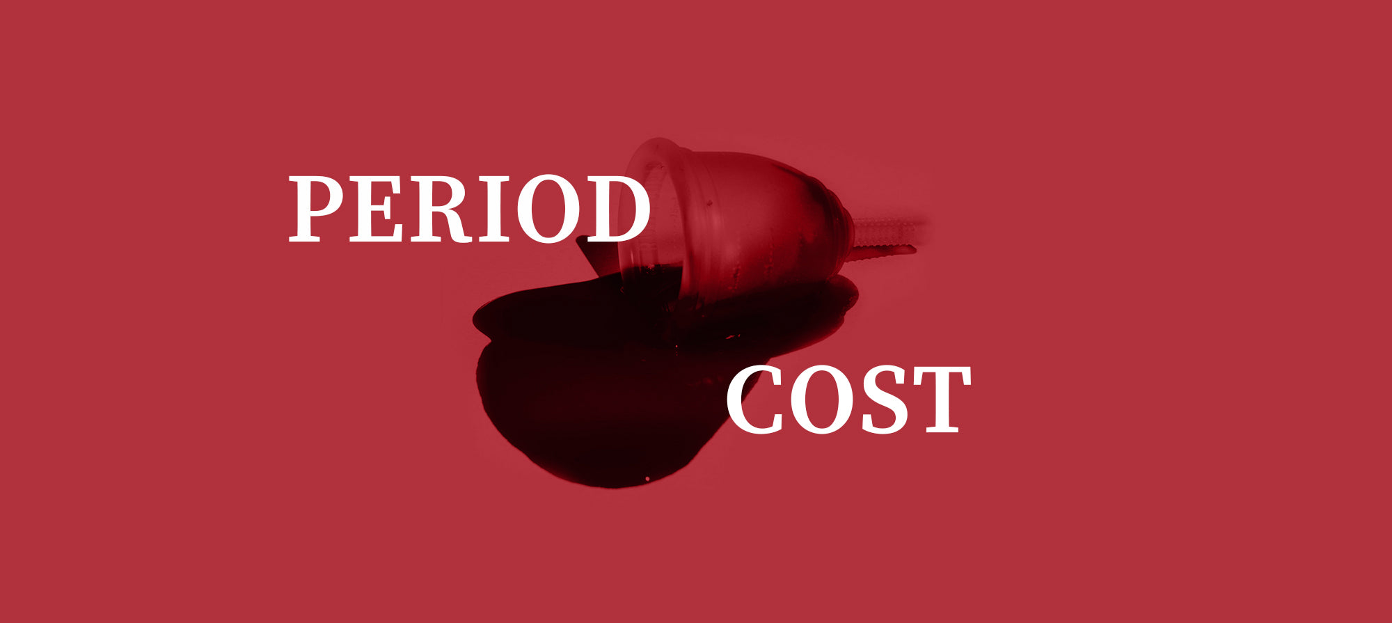 how-much-does-a-period-cost-ruby-cup