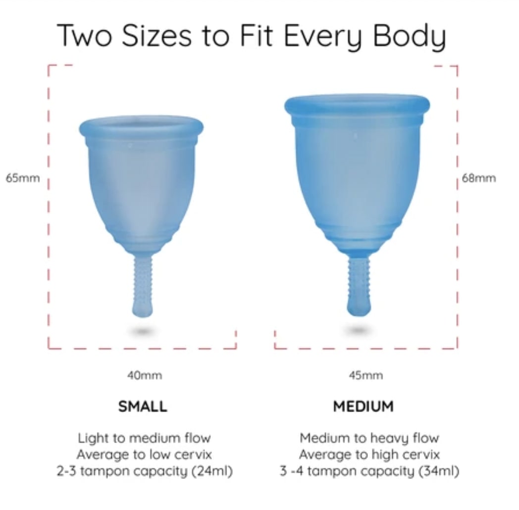 Ruby Cup two sizes of cups with measurements