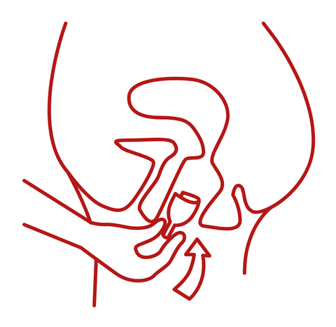 Menstruationstasse richtig einführen