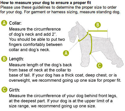 Thirakul Designs - How to Measure your Dog