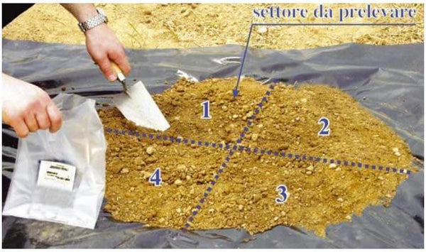 Analisi Chimica Terreno - Tecnica della Quartazione