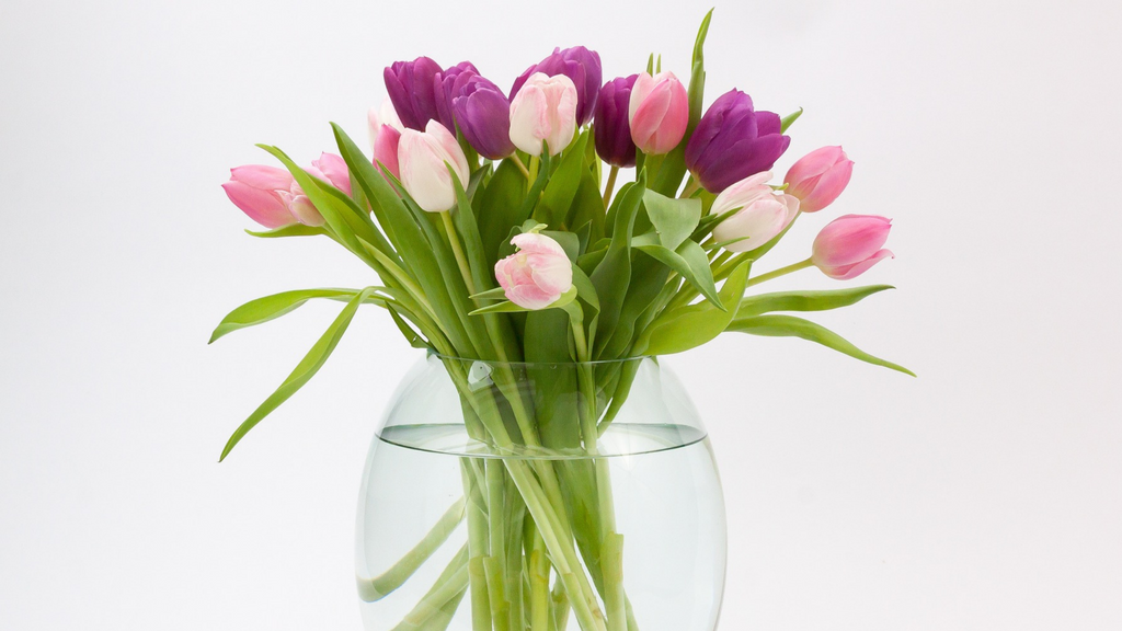 Bulbi da Fiore in Vaso: Messa a Dimora e Tempi di Fioritura