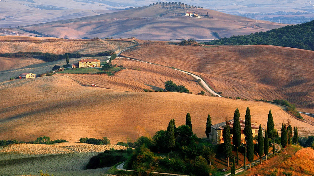 Zafferano toscano