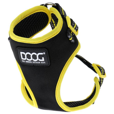 Neoprene Dog Collar - RIN TIN TIN (NEON) – DOOGUSA