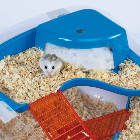 Hamsters: Dwarf & Syrian Hamster Care