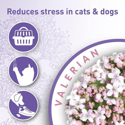 Beaphar Calming Cat & Dog Home Spray 125ml - Get Set Pet