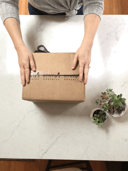 A Look Inside: Biodegradable Insulation | Emmy's Organics