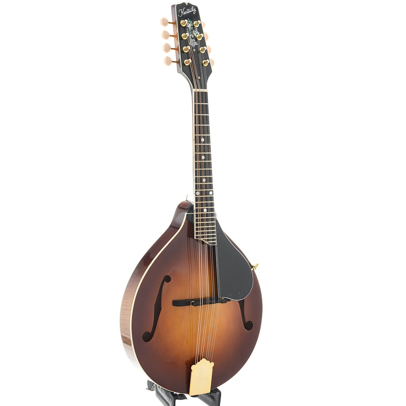 kentucky mandolin models