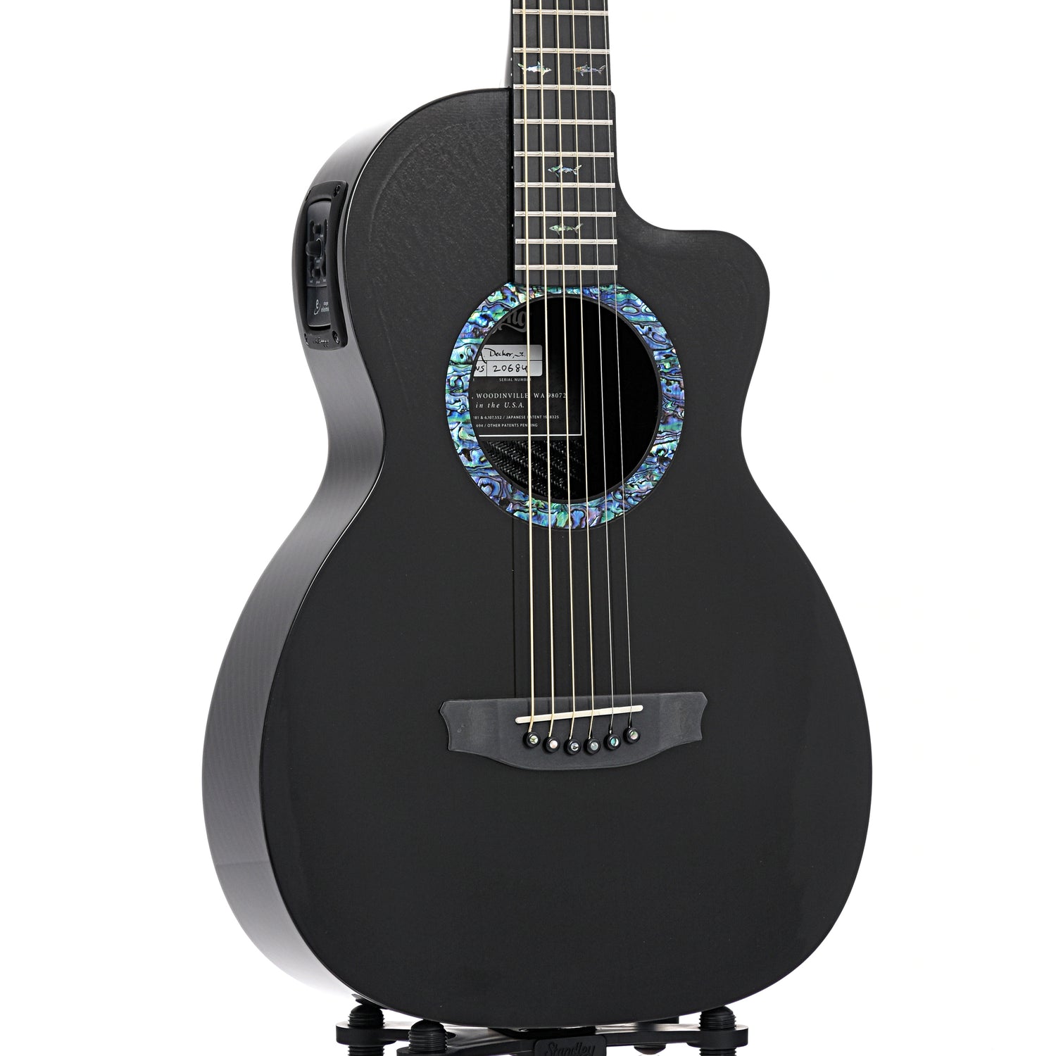 rainsong parlor guitar