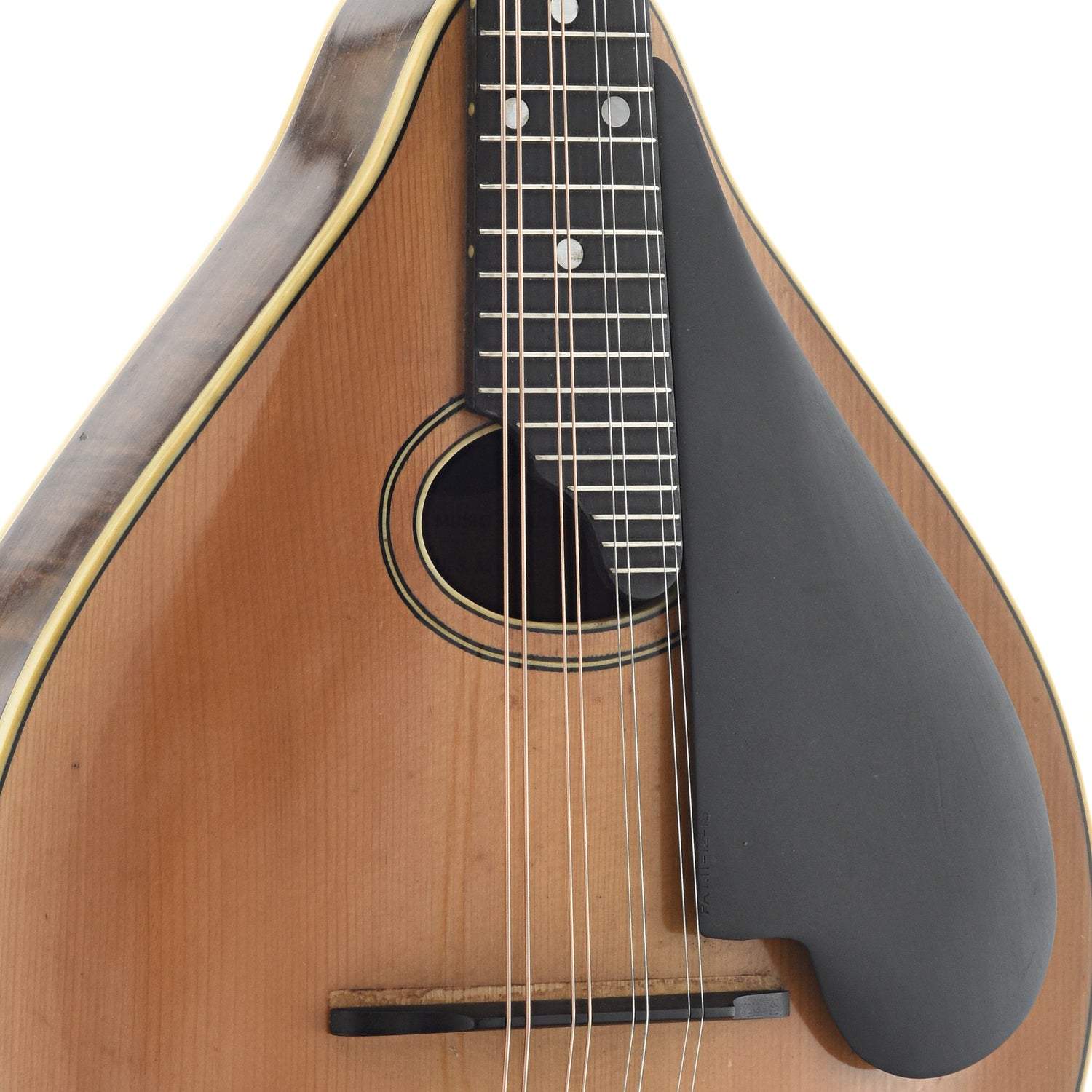 lyon healy mandolin style c