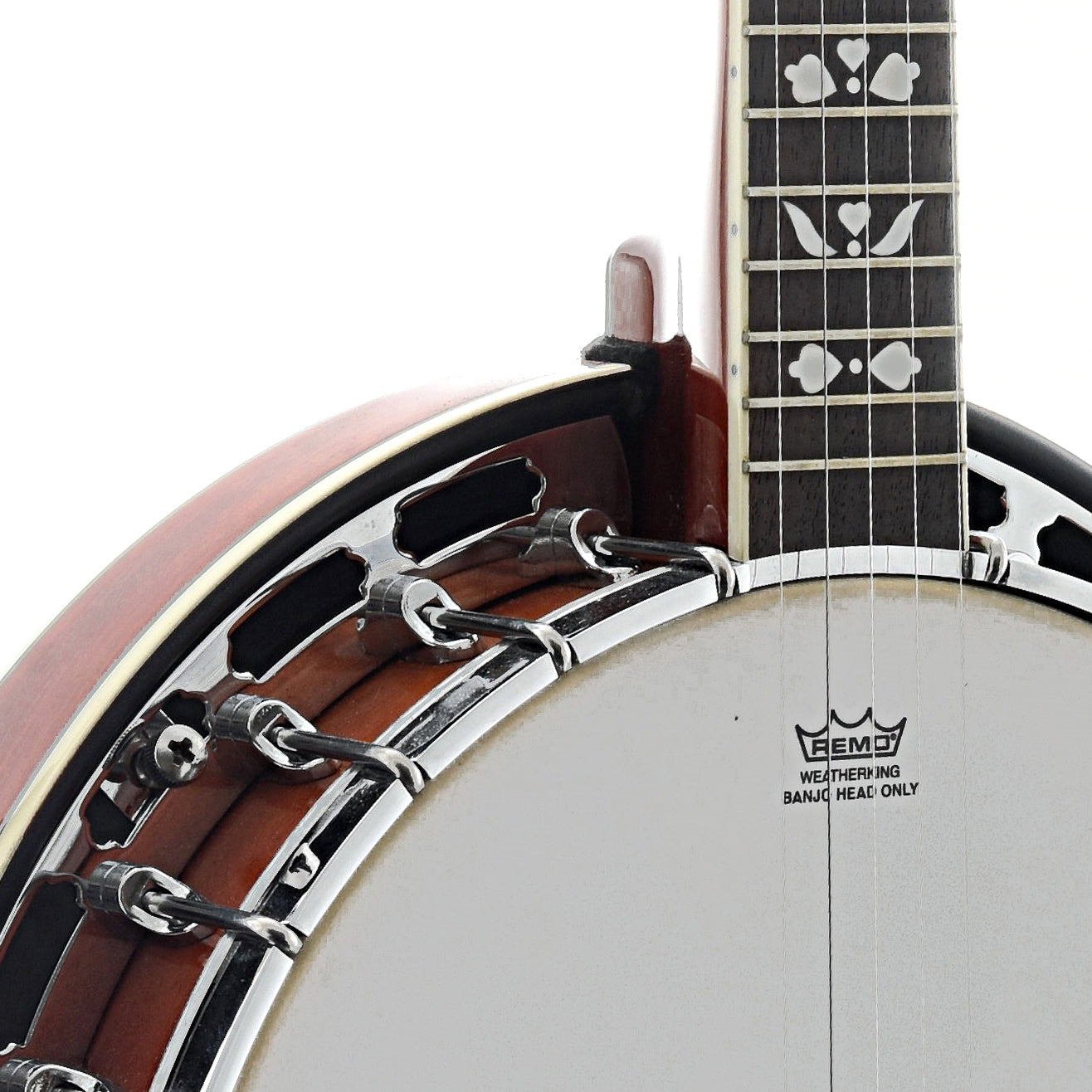 songster banjo