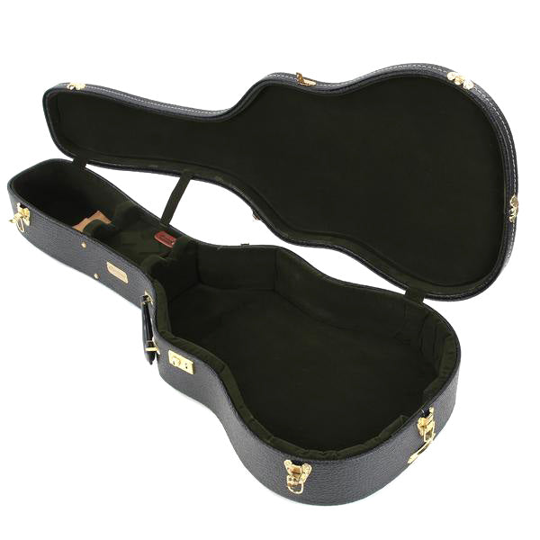 harptone guitar case