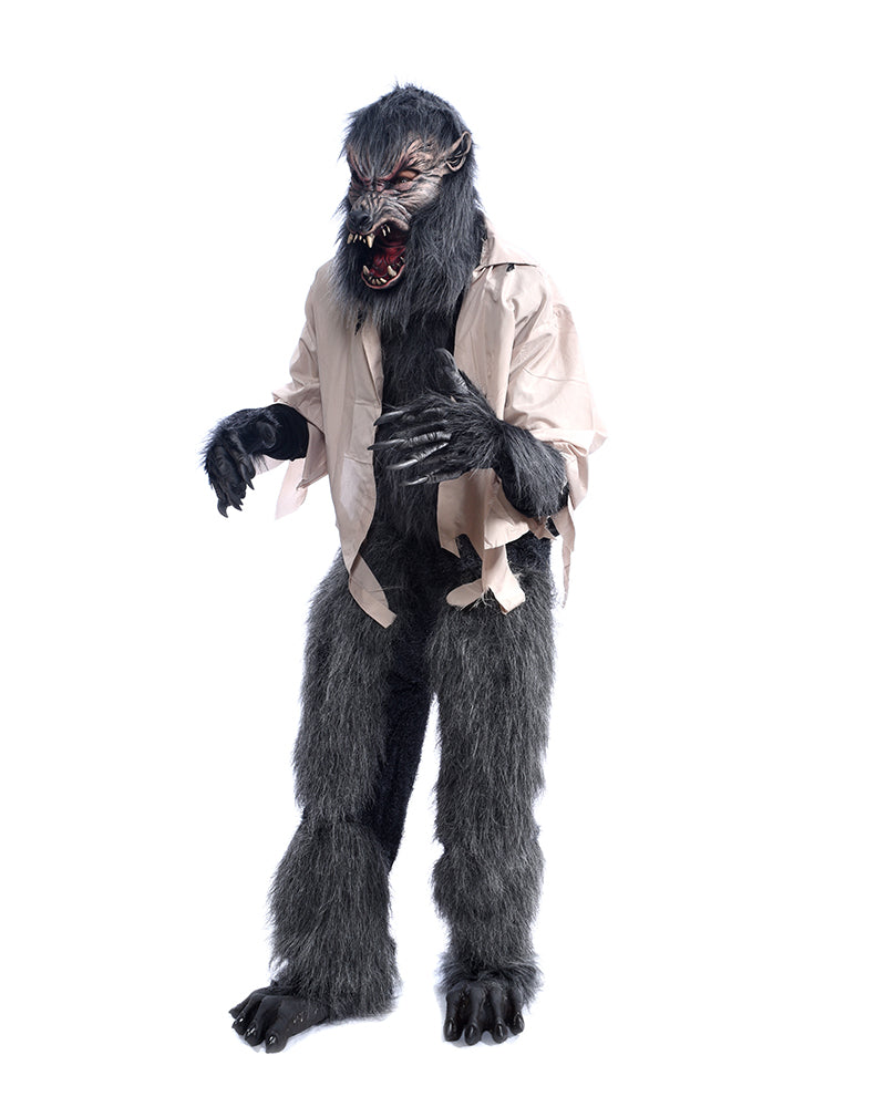 Moonstruck Werewolf Costume, with Wolf Mask, Shirt, Gloves, Pants and ...