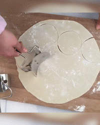 Stainless Cut and Mold Dumpling Maker