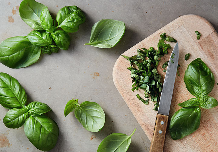 Basil Substitute The Spice House