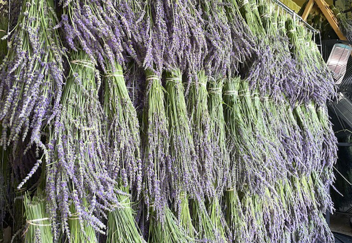 lavender buds use in the kitchen