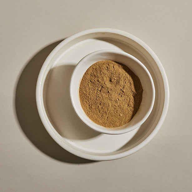 Porcini mushroom powder in a bowl.