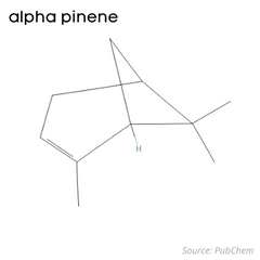 Estructura química alfa pineno