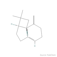 estructura química del beta cariofileno