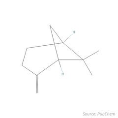 estructura química del beta pineno