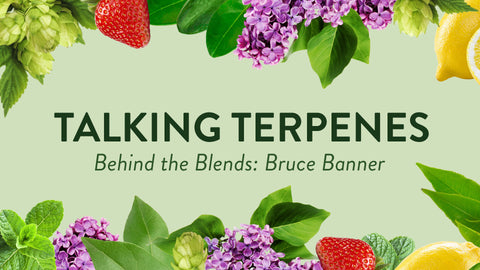 Talking Terpenes - Bruce Banner