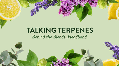 Talking Terpenes - Headband