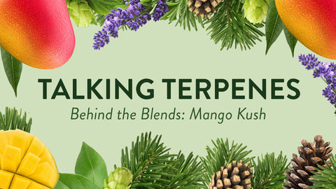 Talking Terpenes - Mango Kush