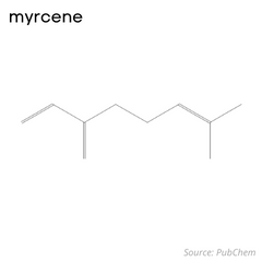 Estructura del terpeno beta mirceno