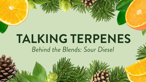 Talking Terpenes - Sour Diesel