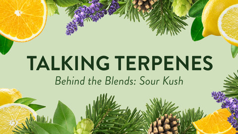 Terpenos parlantes - Sour Kush