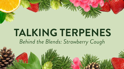 Talking Terpenes - Strawberry Cough