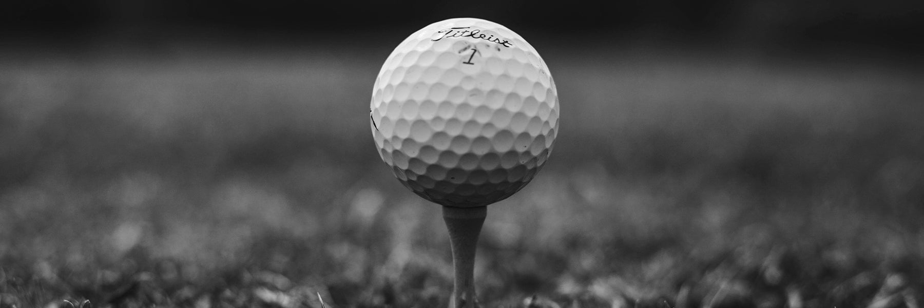 titleist golf ball on a tee