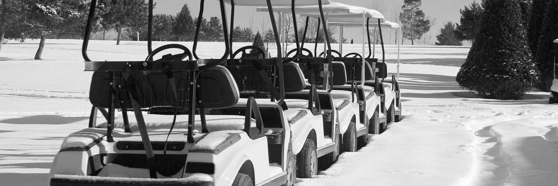 golf carts in the snow