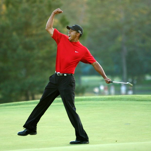 Wall Street Journal's Image of Tiger Woods