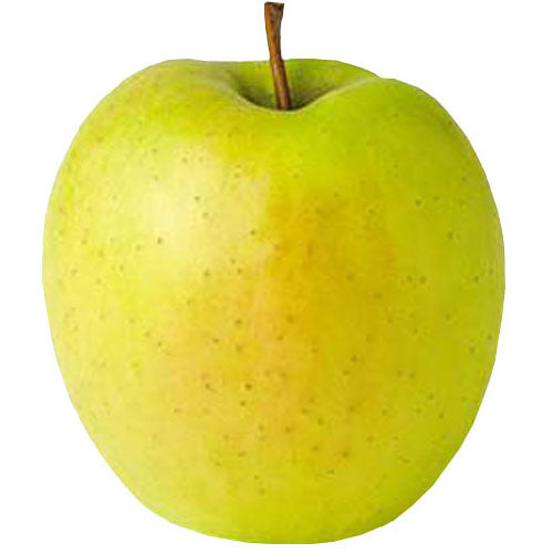 LIL CHIEF APPLES MACINTOSH BAG / 2 LB – Brooklyn Fare