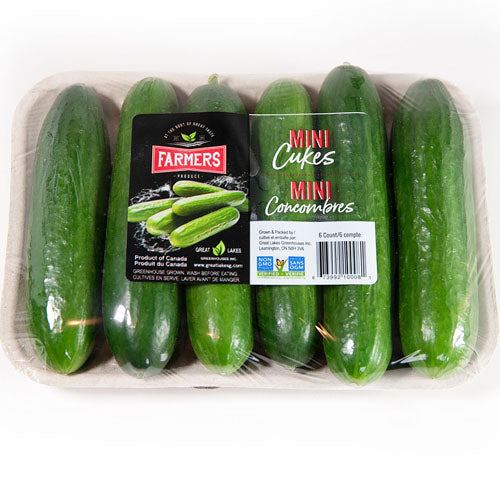 Mini Cucumbers