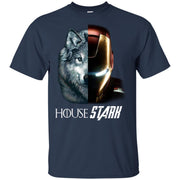 Tony stark House Stark