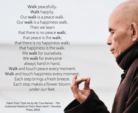 Walking Meditation by Thich Nhat Hanh's 