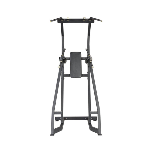 CHIN-UP & DIP STATION ST963 - XP Fit UK