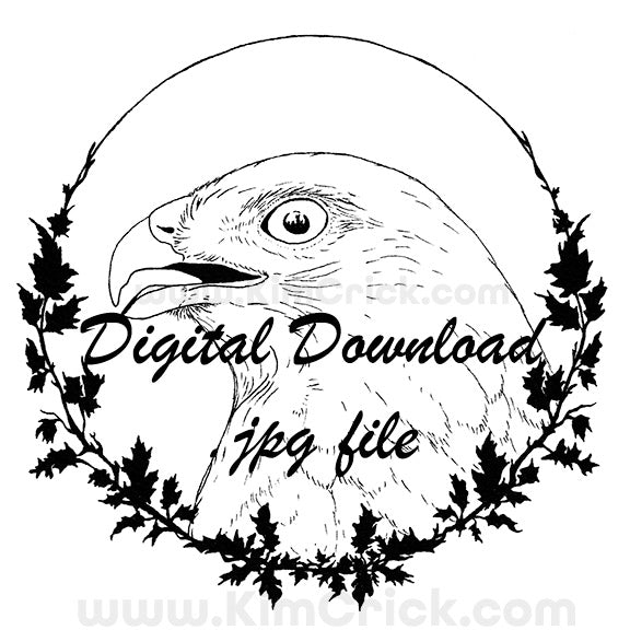 Digital File - Red-shouldered Hawk Bird of Prey Art Pen Drawing Scan P