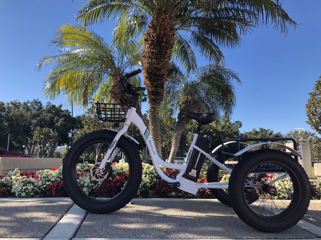 fat tire cargo trike