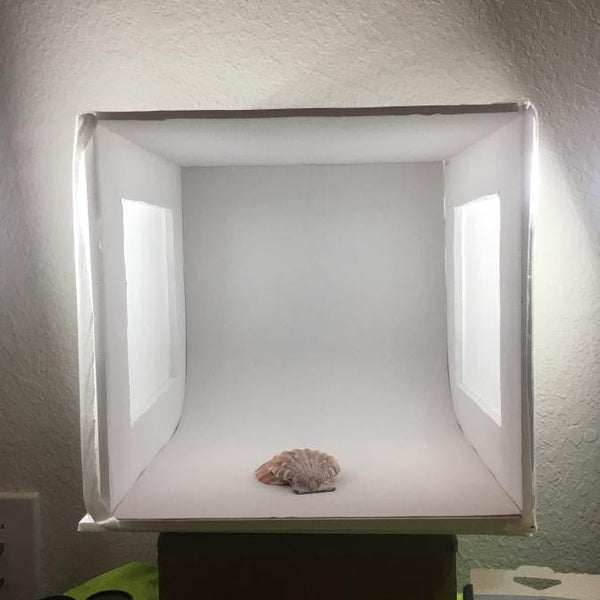 DIY Lightbox - How To Make a Lightbox